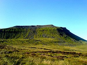 Ingleborough whole