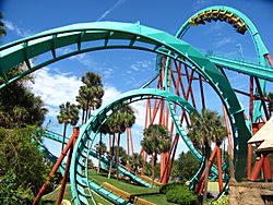 Kumbas vertical loop 3.jpg