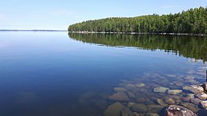 Lake Saimaa