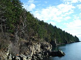 Larrabee State Park coastline.jpg