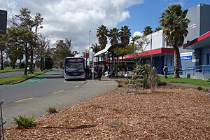 Mangere Town Centre 1359