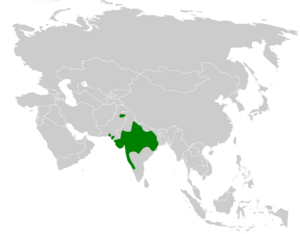 Mirafra erythroptera distribution map.png