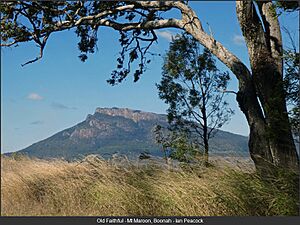 Old Faithful, Mount Maroon, Boonah