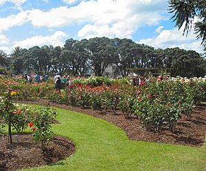 Parnell Rose Festival