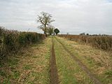 Peddars Way - Little Cressingham