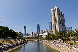 SHENZHEN RIVER(7)