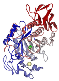 Salivary alpha-amylase 1SMD