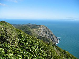 South from Kapiti