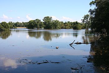 Stillman Creek Flood, Illinois 15.JPG