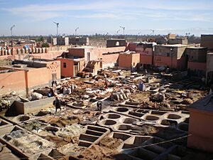Tanneries