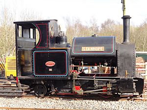 The Apedale narrow gauge (5549206341)