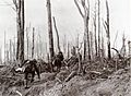 U.S. Marines during the Meuse-Argonne Campaign