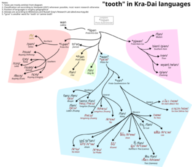 "tooth" in Kra-Dai languages