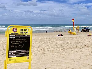 Alexandra Headland Beach, Queensland 07