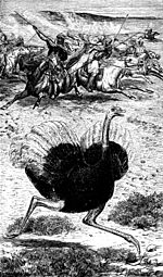 Arabian Ostrich hunt.jpg