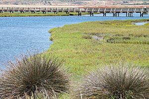 BCwetlandsWalkway