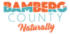 Official logo of Bamberg County