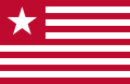 Colonel James Long's Flag