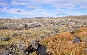 Crooked creek near burns junction.jpg