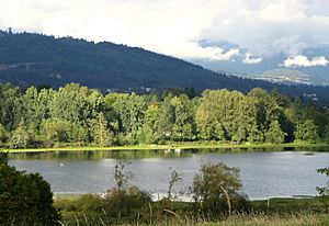 Deer Lake in Burnaby.JPG