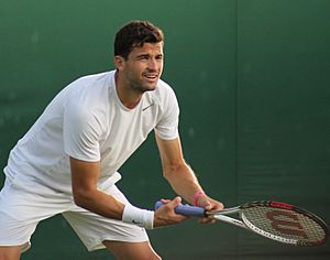 Dimitrov WM13-021 (9482641359)