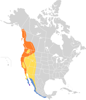 Empidonax difficilis map.svg