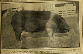 Farmer and stockbreeder (1920) (14774931601)