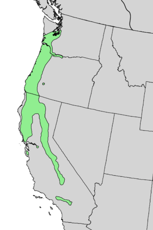 Fraxinus latifolia range map 5.png