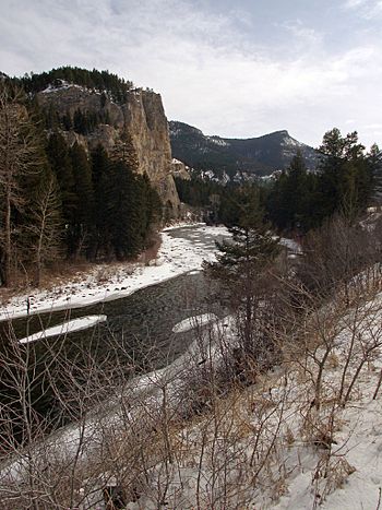 Gallatinriverwinter.jpg