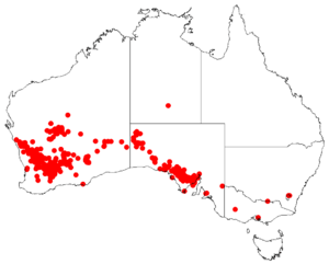 Hakea francisianaDistMap54.png