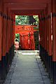 Hanazono-Inari-jinja (Ueno)