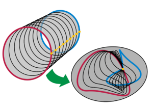 Homotopy of pointed circle maps