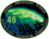 ISS Expedition 49 Patch.png