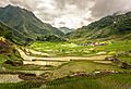 Inside the Batad rice terraces