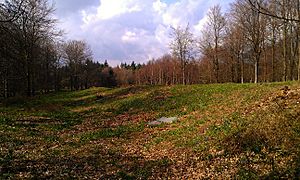 Jackets Field Long Barrow II