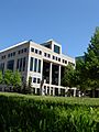 Moncton city hall grass