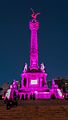 Monumento a la Independencia, México D.F., México, 2014-10-13, DD 24