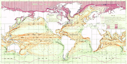 Ocean currents 1943 (borderless)3