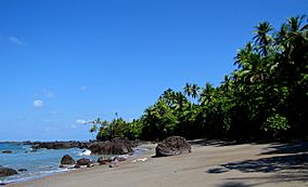 Parque Nacional Corcovado.JPG