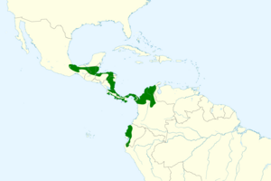 Phaethornis longirostris map.svg