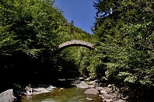 Rkoni monastery bridge