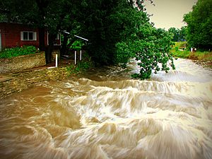 Rochesterflood