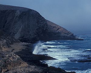 Santa-Barbara-Island-Sea-Lion-Rookery