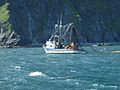 Seiner off the coast of the Kodiak Archipelago, Alaska 2009 218