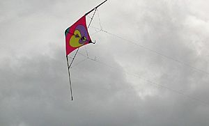 SportKiteFlying