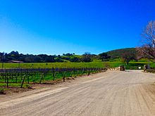 Sunstone-Vineyards-in-Santa-Ynez-Valley-Winetour-Visit-American-Luxury-Limousine-2015