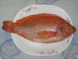 Tilapia food dish