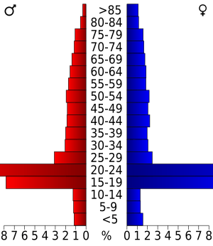 USA Williamsburg city, Virginia age pyramid