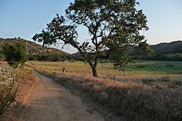 A scene in Valley Center.