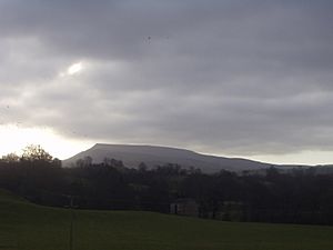 Wild boar fell